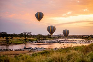Balloon Safari