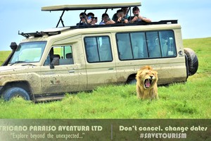Safari Jeep