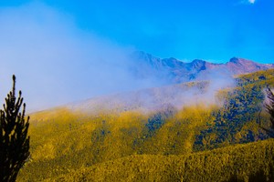 Kilimnjaro