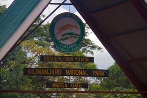 Kilimanjaro