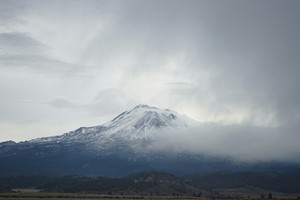 Kilimanjaro