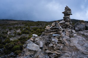 Kilimanjaro