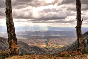 Usambara