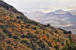 Kilimanjaro
