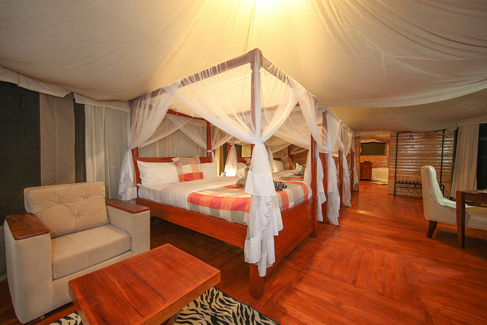 Acacia Luxury Lodge