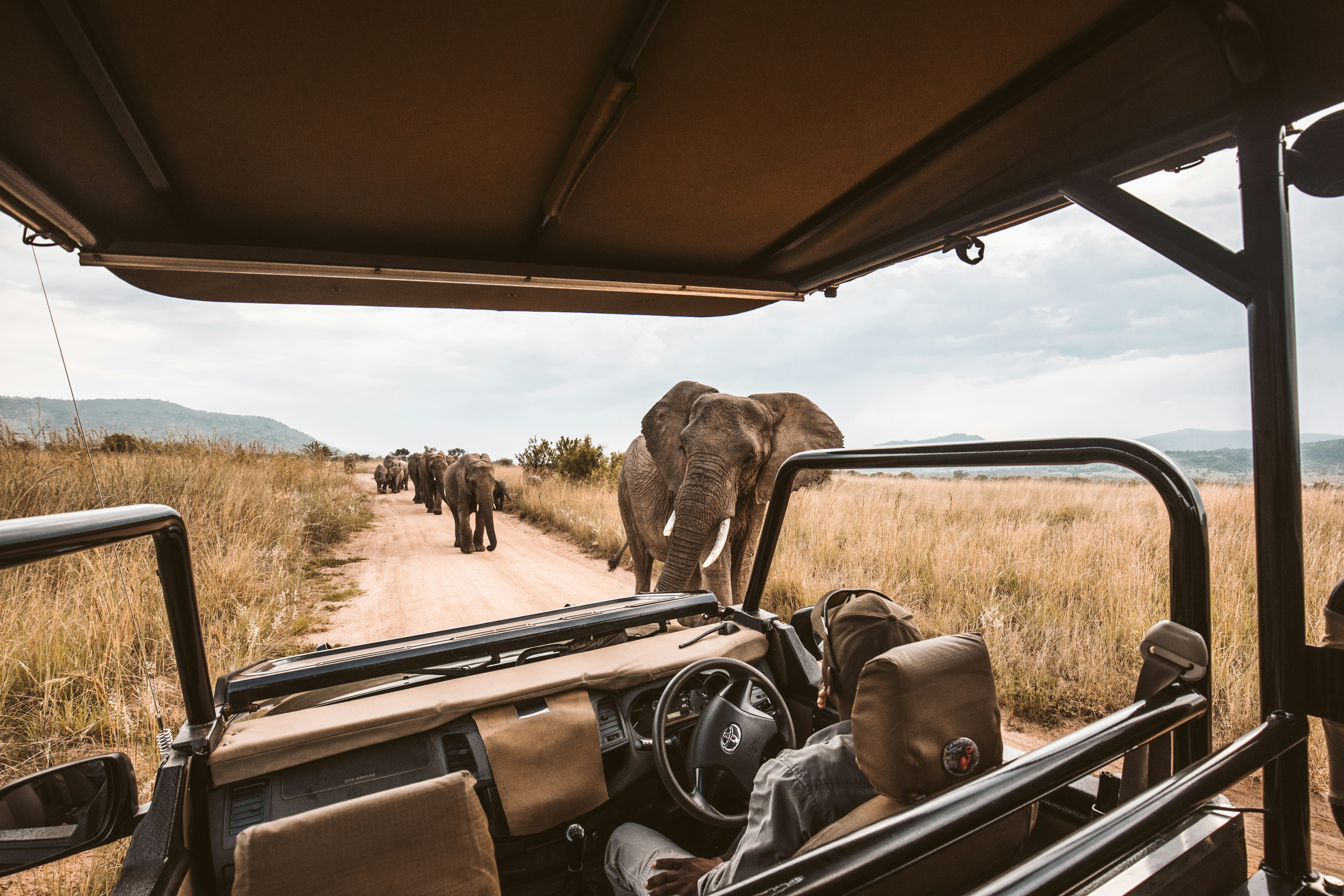 6-Day Classic Honeymoon Safari in Tanzania