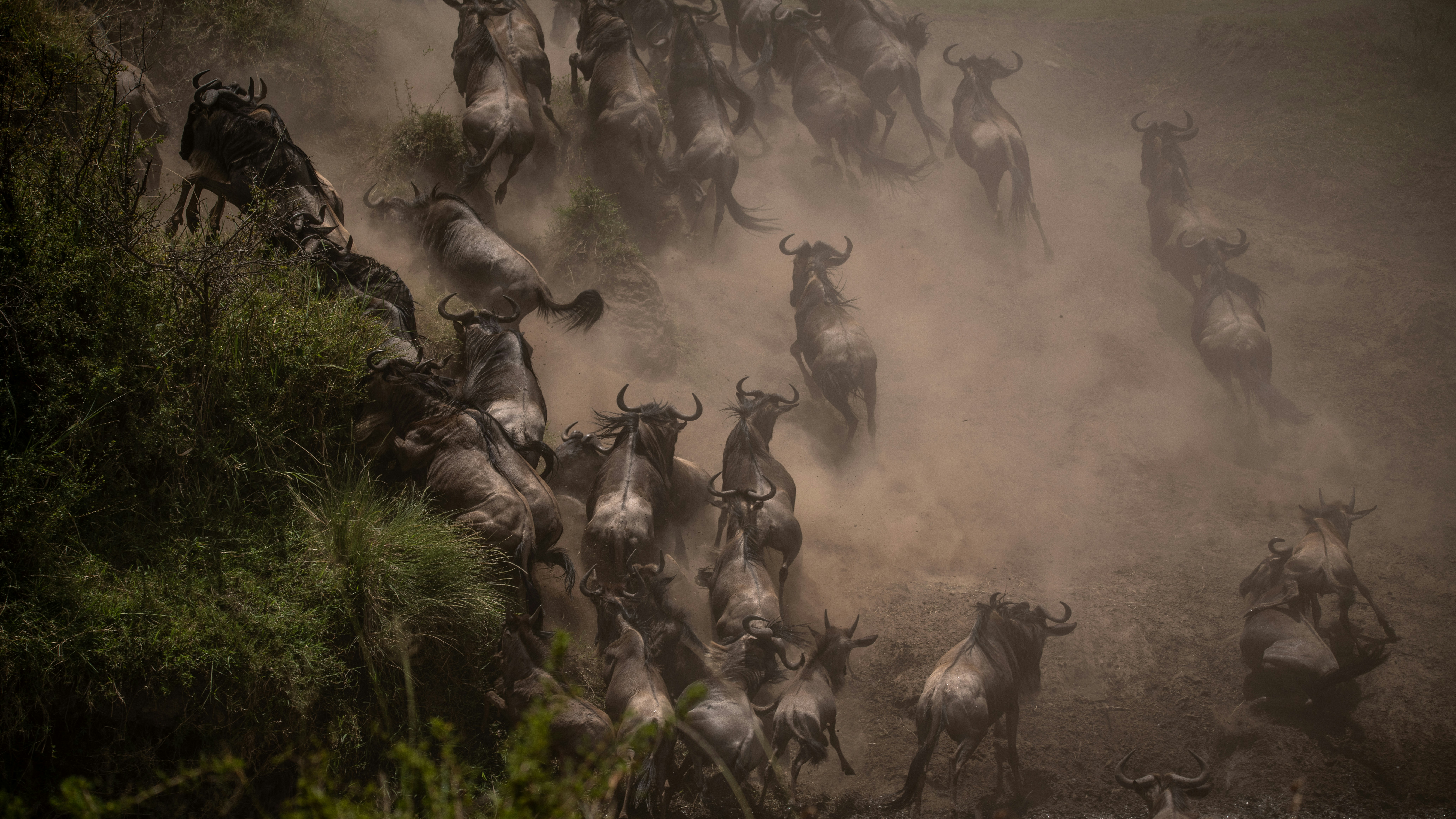 8-Day Private Mara River Crossing Safari