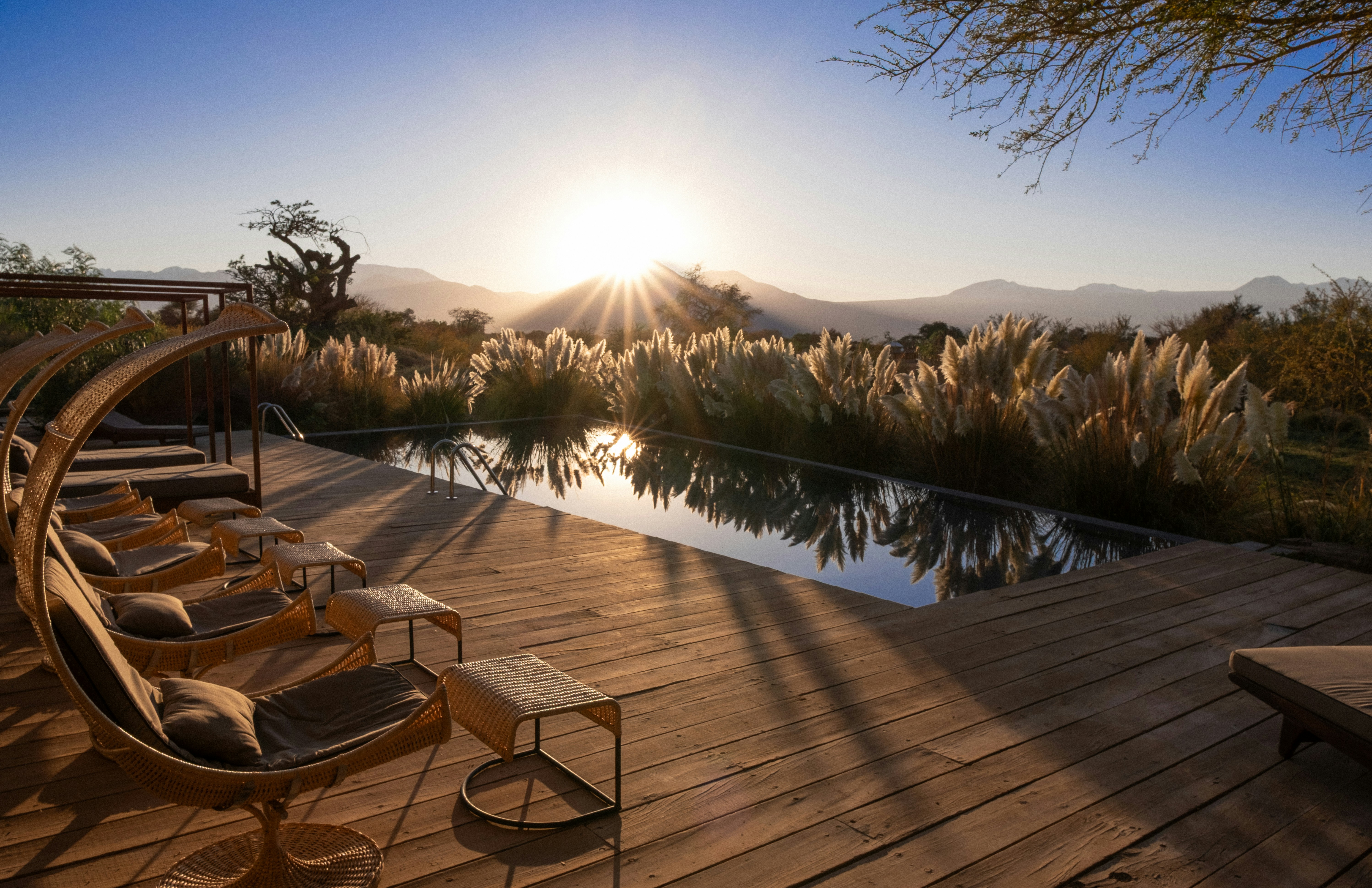 10-Day Luxury Tanzania Honeymoon Safari