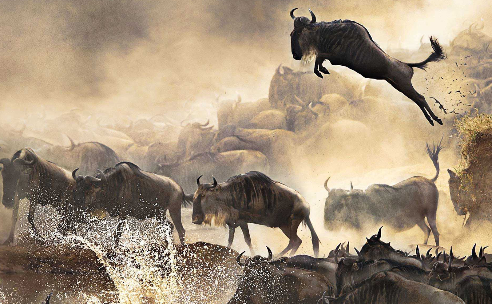 5-Day Fly-In Great Migration Safari