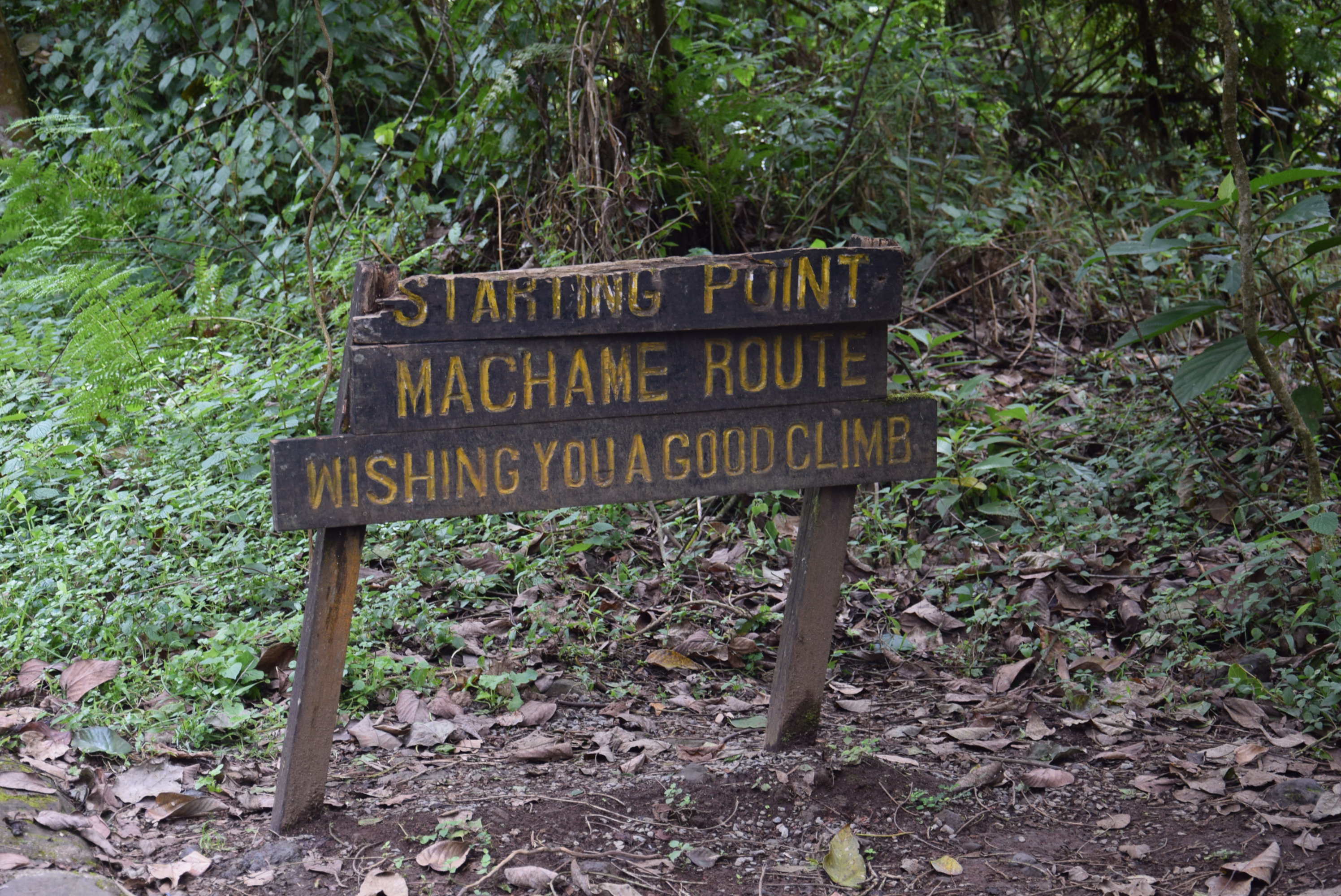 Machame Gate (1,800 m / 5,905 ft) → Machame Camp (2,835 m / 9,301 ft)