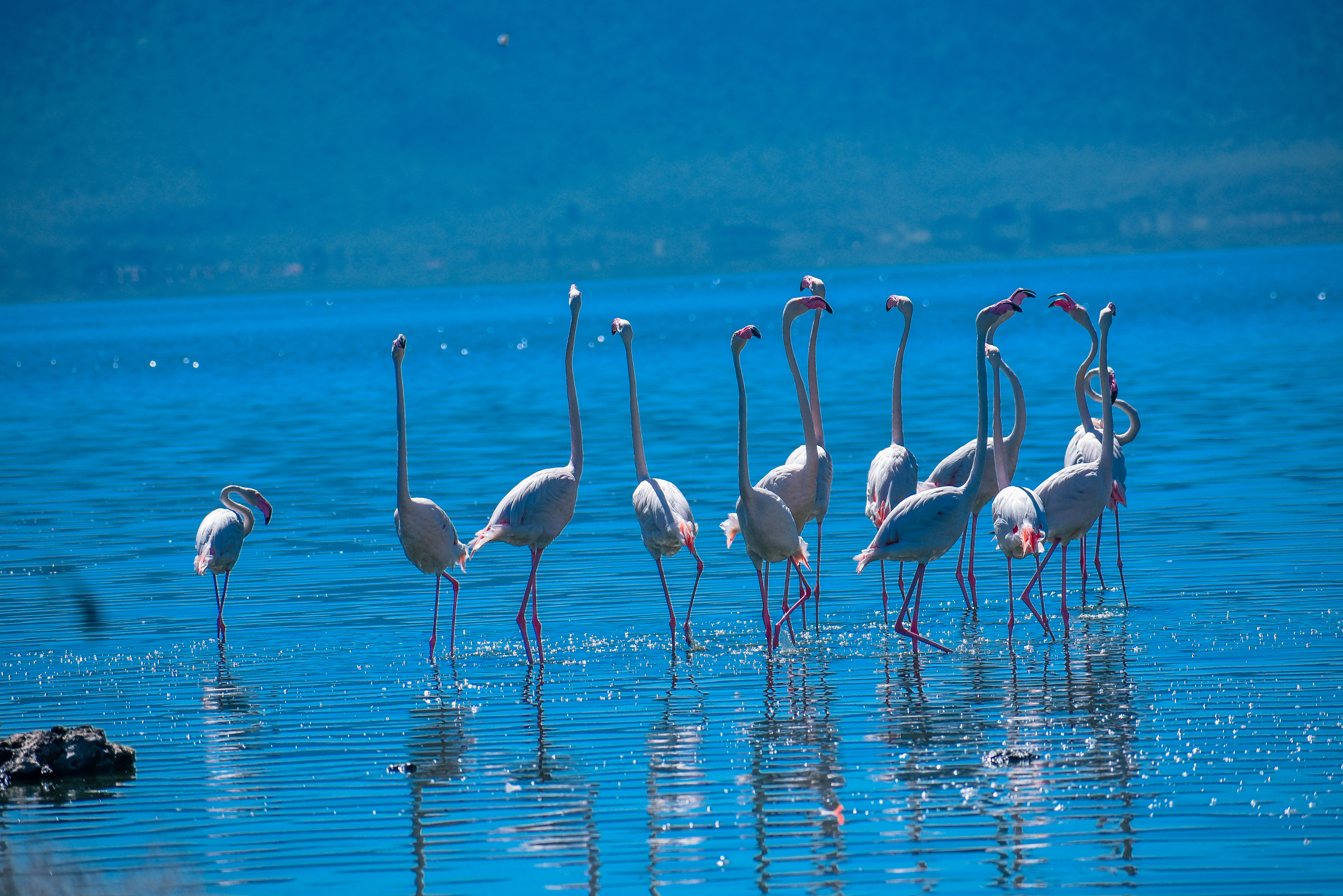 Arusha to Lake Natron – Waterfalls & Flamingos