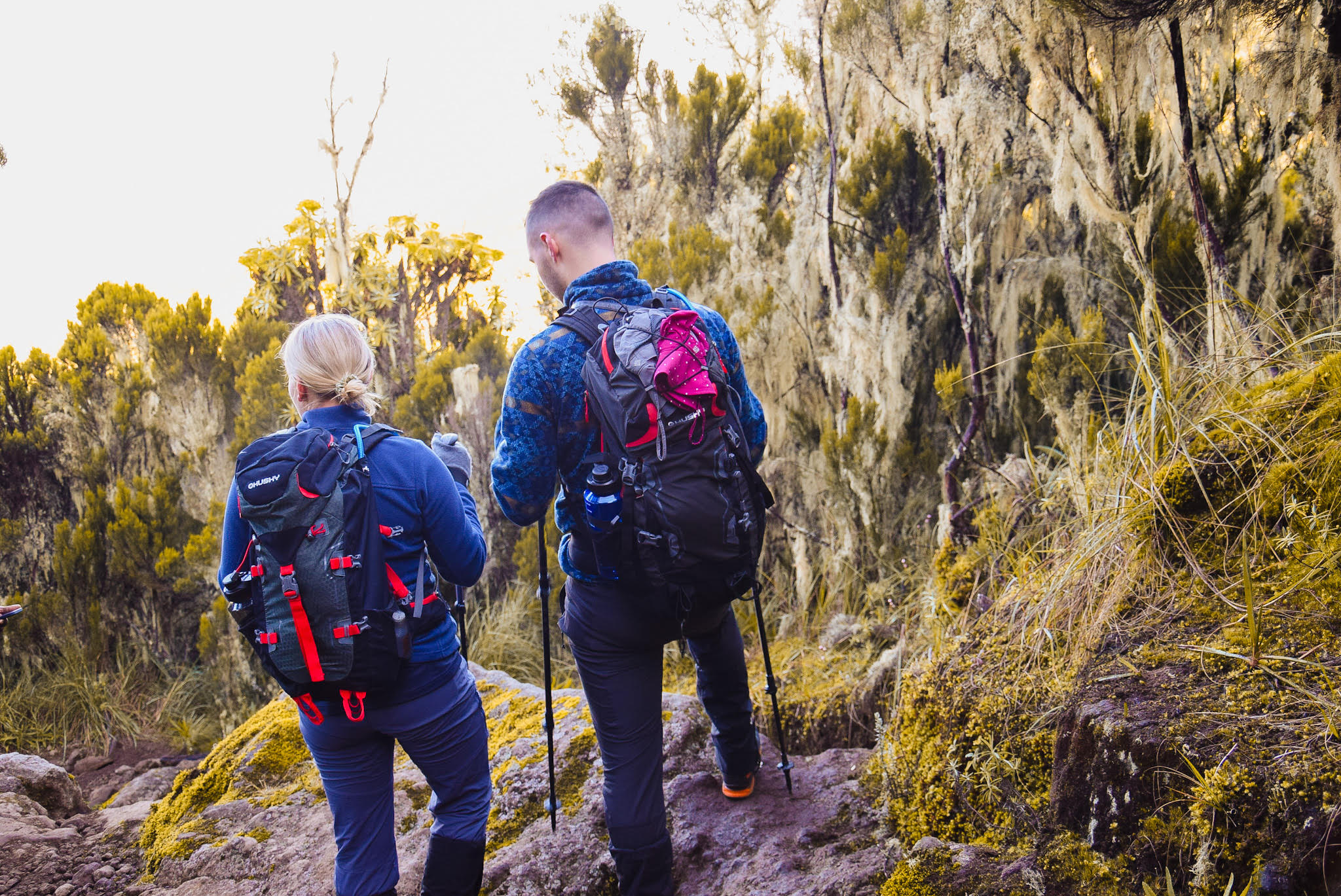 Lava Tower Ascent & Barranco Plunge