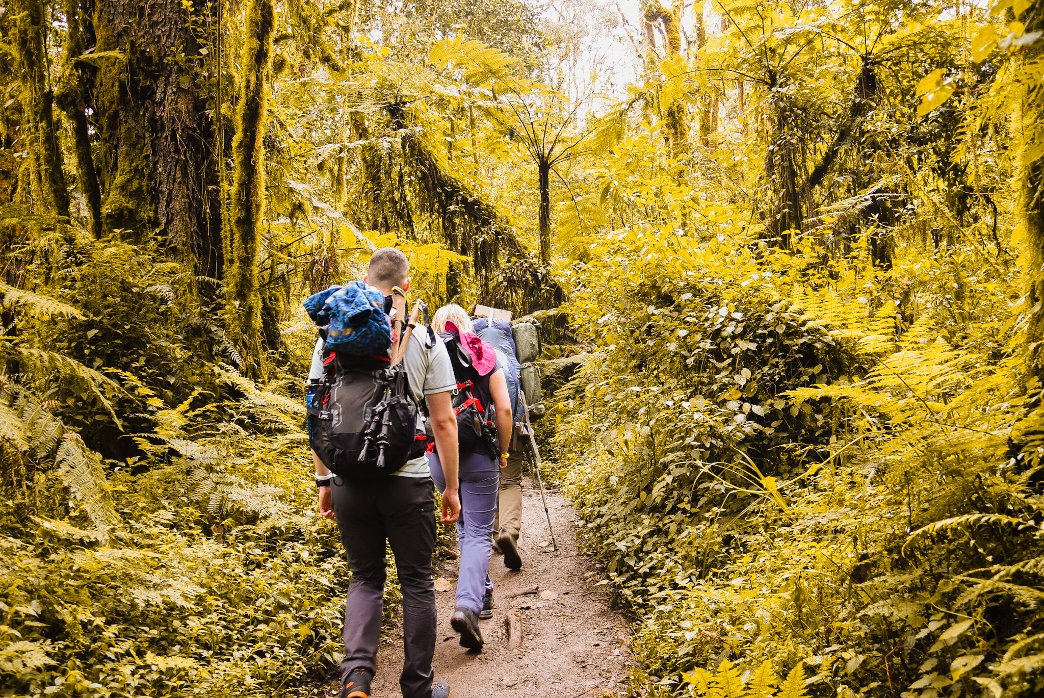 High-Altitude Drop-Off & Trek to Camp II