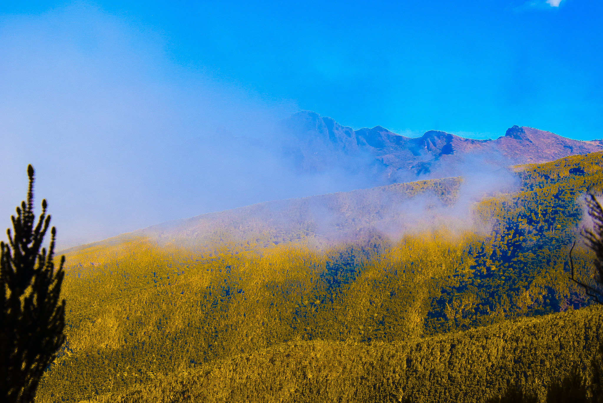 Barranco Camp - Karanga Camp