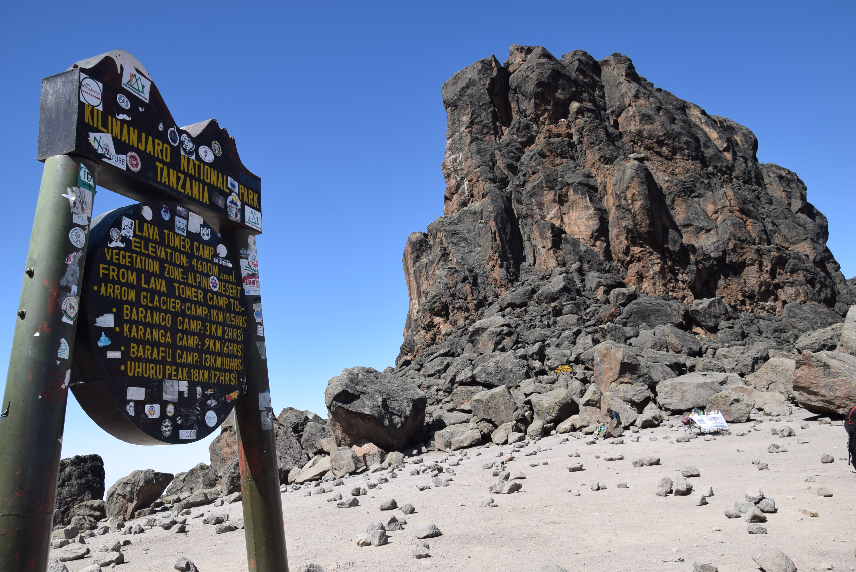Shira Camp (3,839 m/12,595 ft) → Lava Tower (4,630 m/15,190 ft) → Barranco Camp (3,950 m/12,959 ft