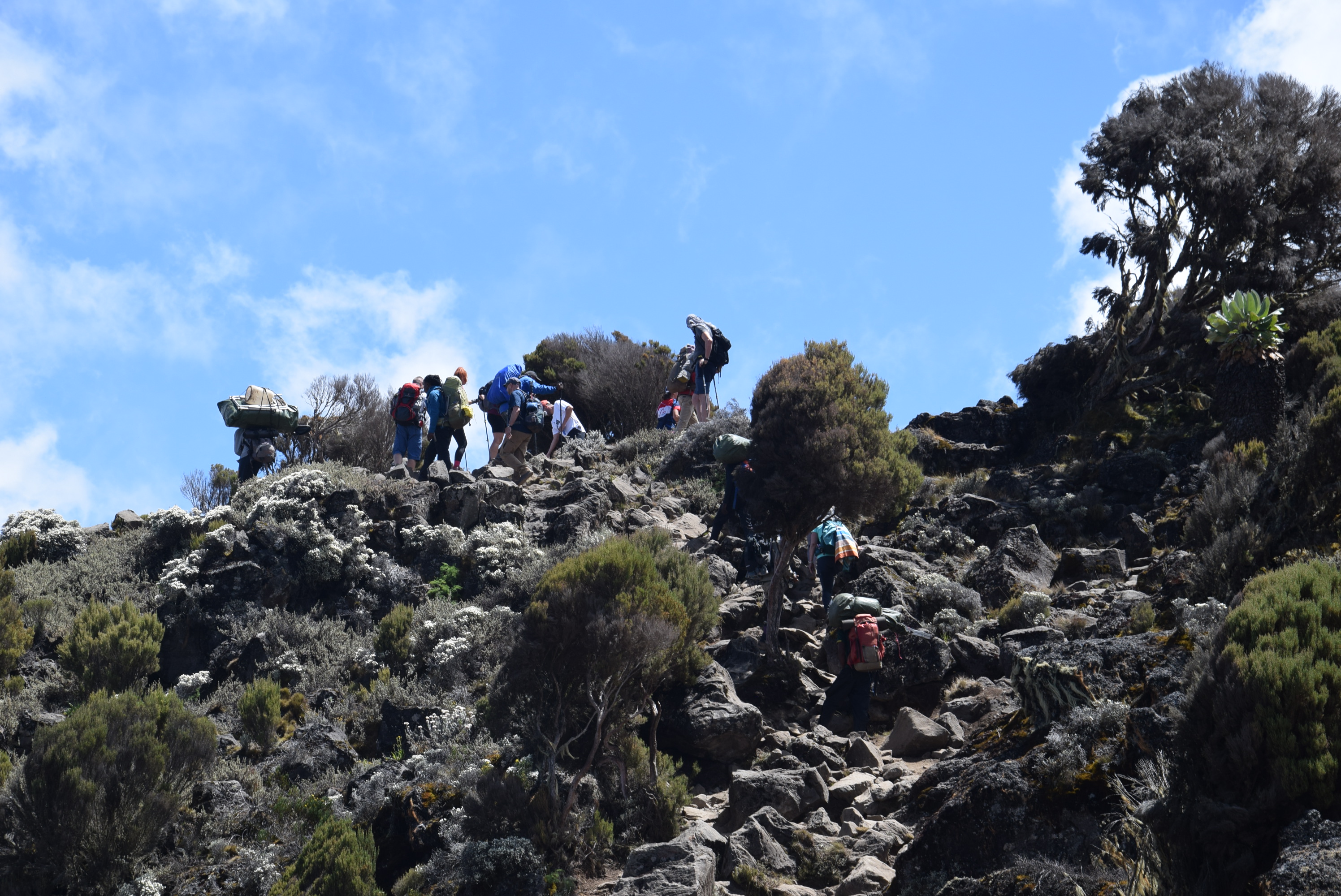 Karanga Camp (4,040 m / 13,254 ft) → Barafu Camp (4,645 m / 15,239 ft)
