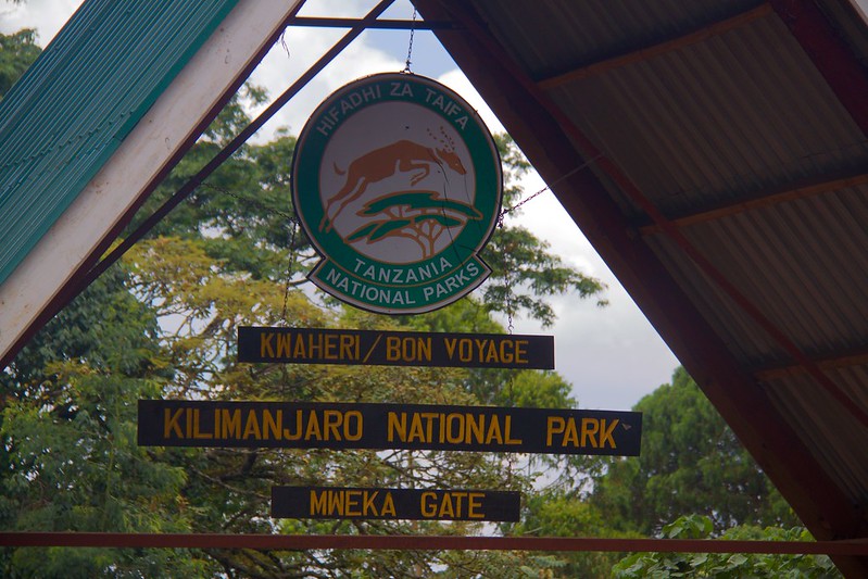 Millennium Camp (3,820 m) → Mweka Gate (1,640 m) → Return to Hotel