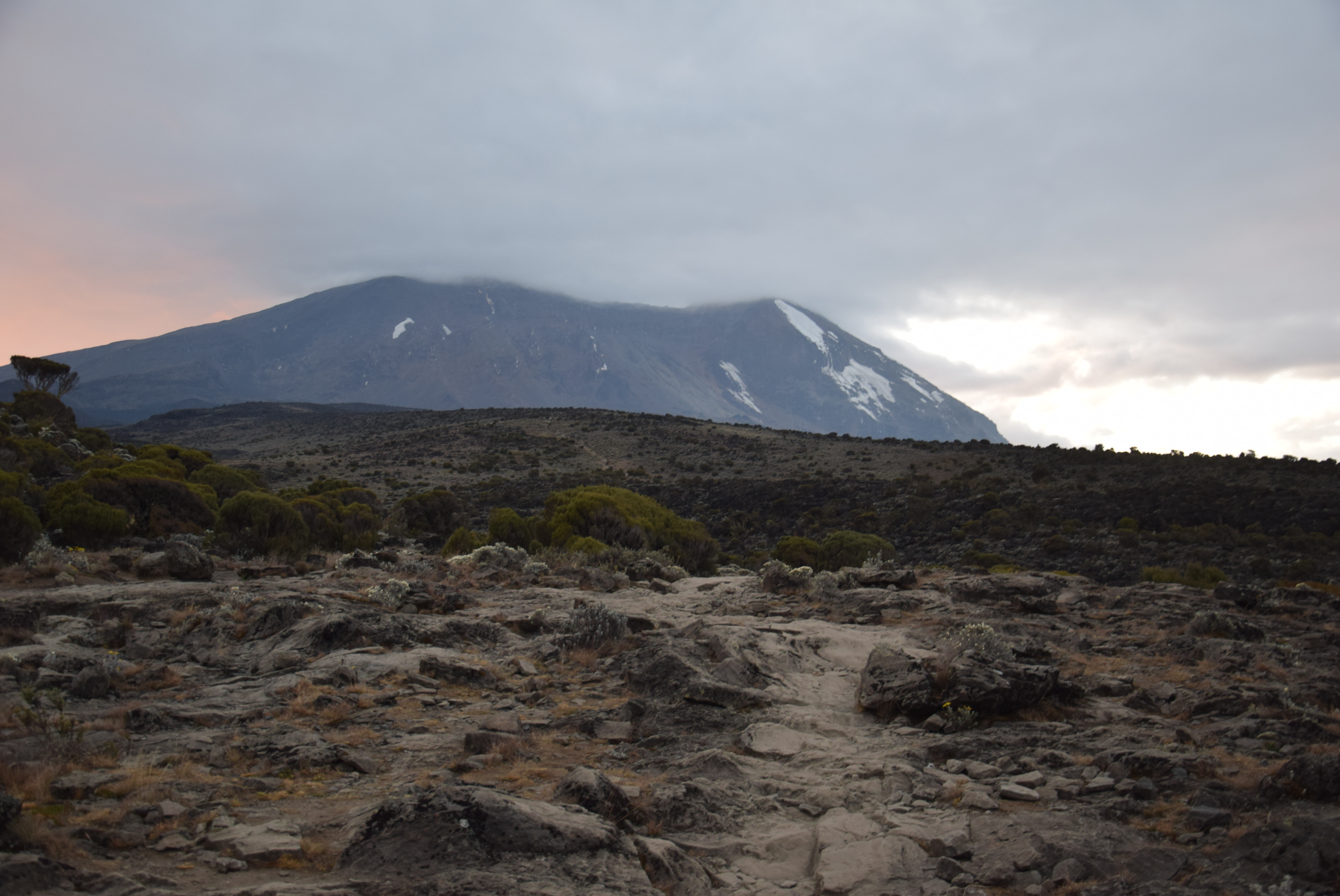 Kikelewa Camp (3,660 m / 12,007 ft) → Mawenzi Tarn Camp (4,305 m / 13,238 ft)