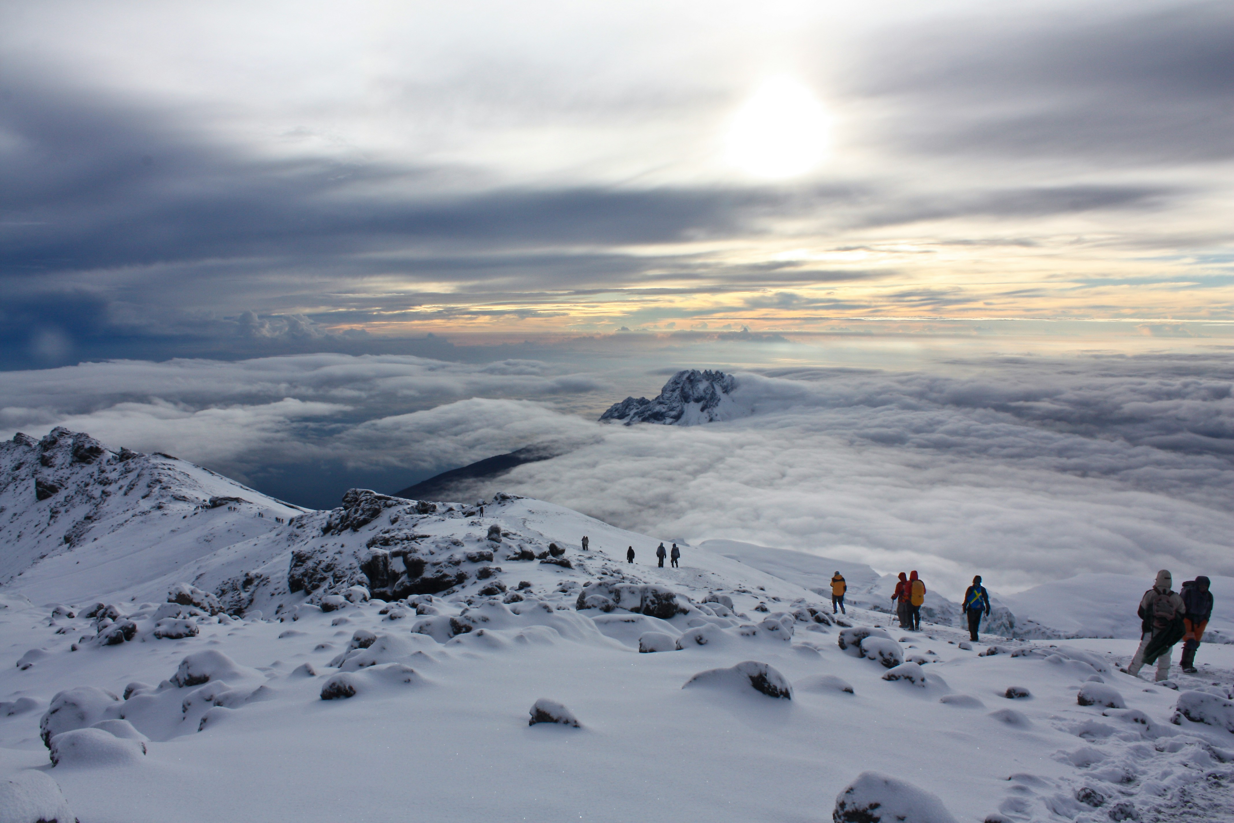 Umbwe Cave Camp (2,900 m / 9,514 ft) → Barranco Camp (3,950 m / 12,959 ft)