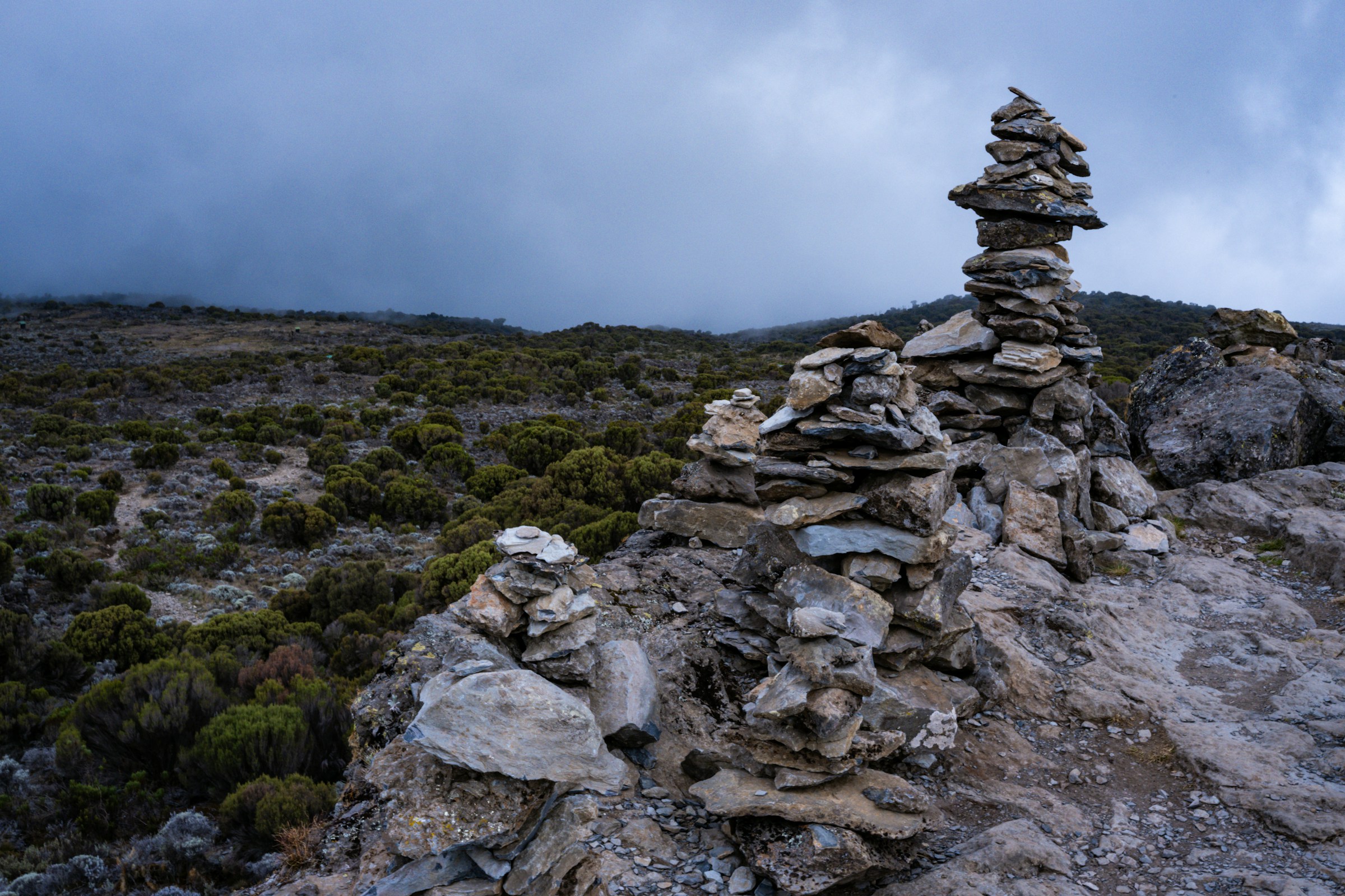 Karanga Camp (4,040 m / 13,254 ft) → Barafu Camp (4,645 m / 15,239 ft)