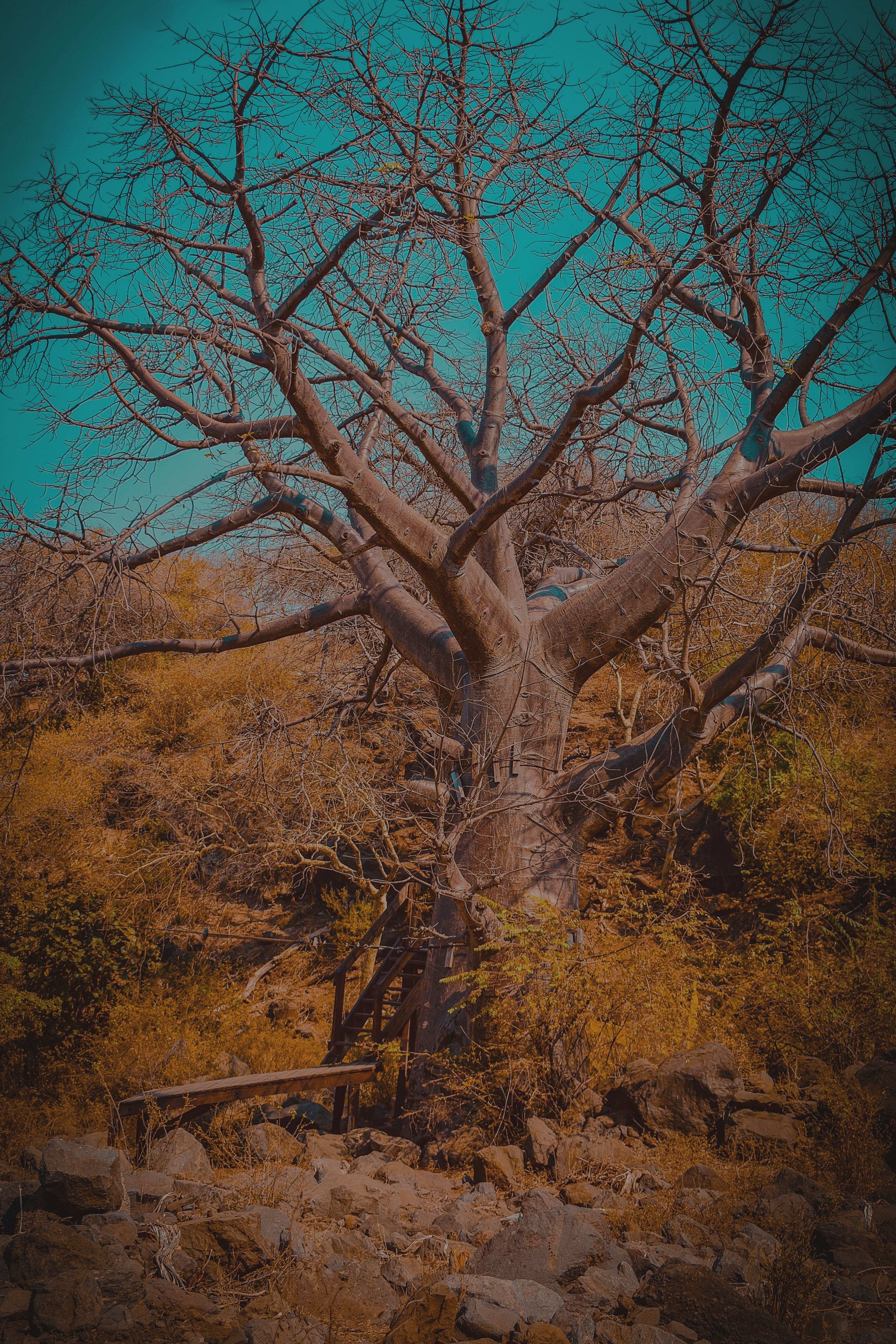 Balaa Hill Hike — Mto wa Mbu activity