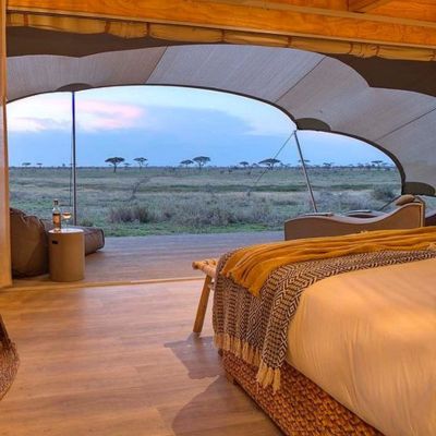 Hidden Gems Safari