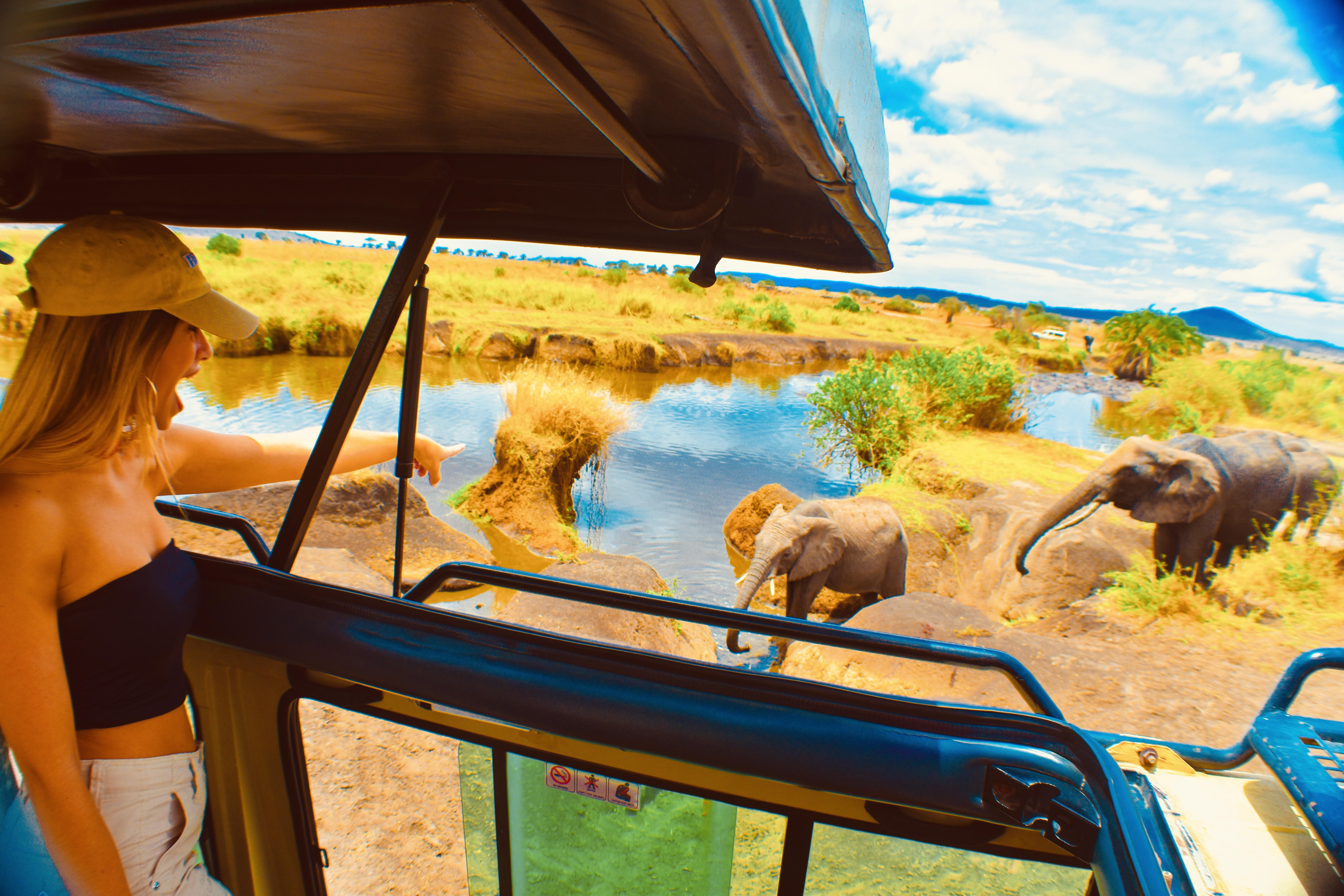 Safari Experience