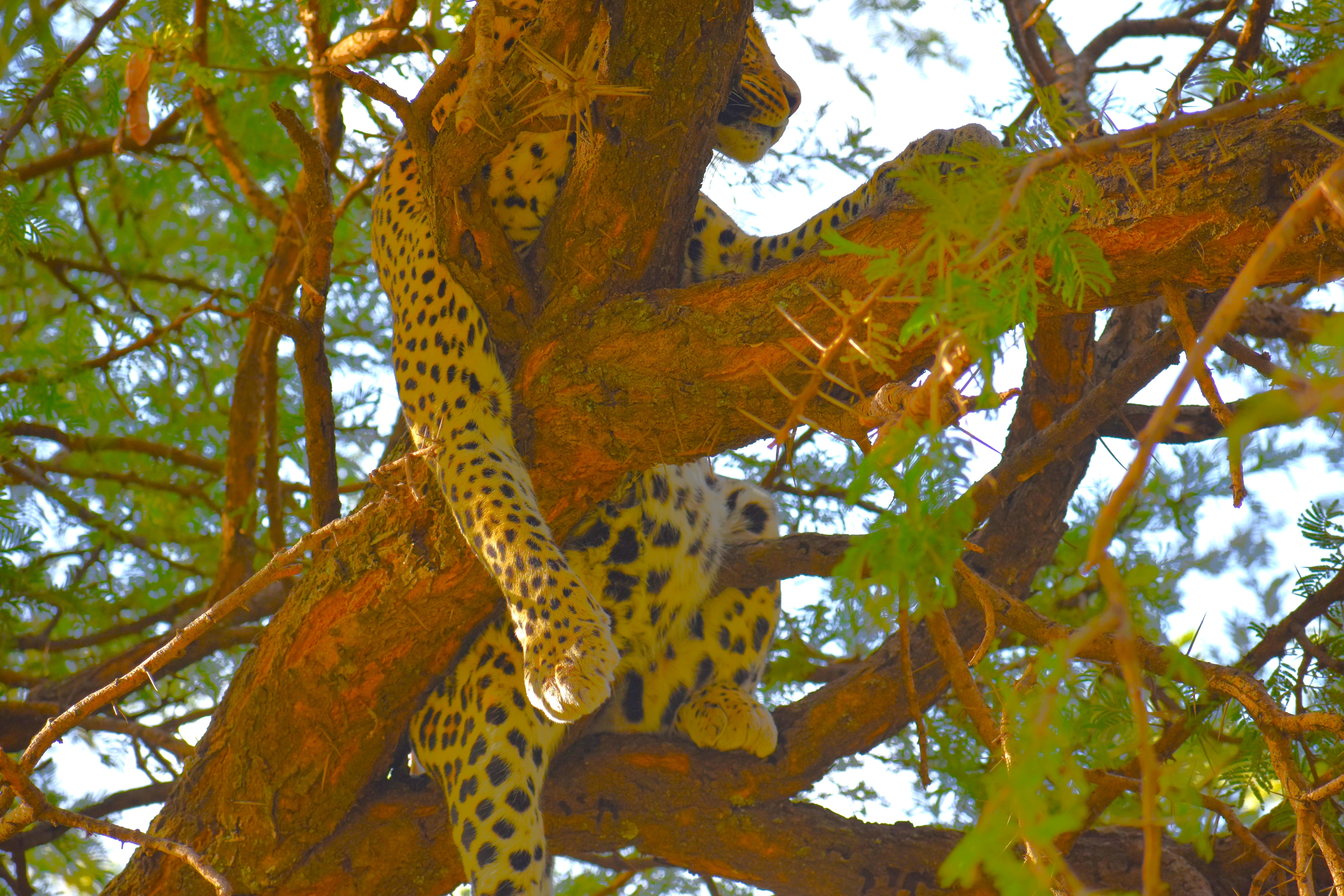 Tarangire Adventure