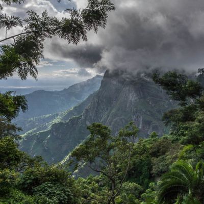 Usambara Mountains